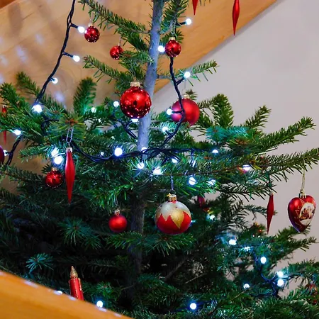 فندق مبيت وإفطار Karkoz 3*