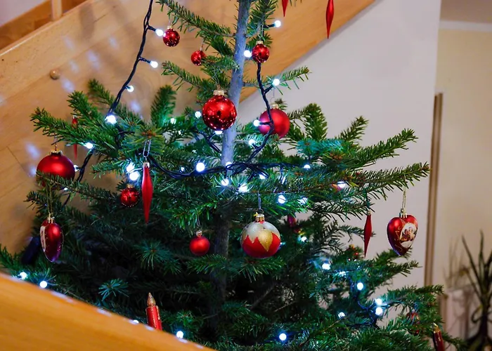 ベッド・アンド・ブレックファスト Karkoz 3*